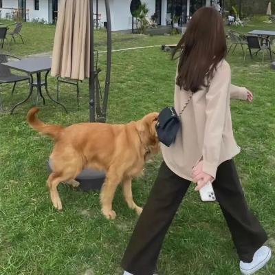 双龙英雄